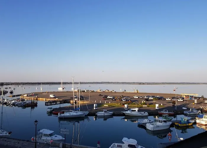 Appartement Le Nid De L'aiguillon *